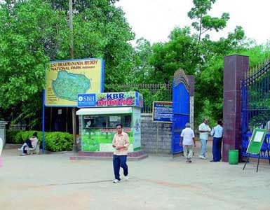 bangalore Escort-bandagi